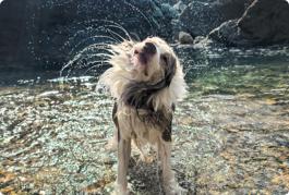 HUAWEI Pura 70 Pro ultra speed snapshot